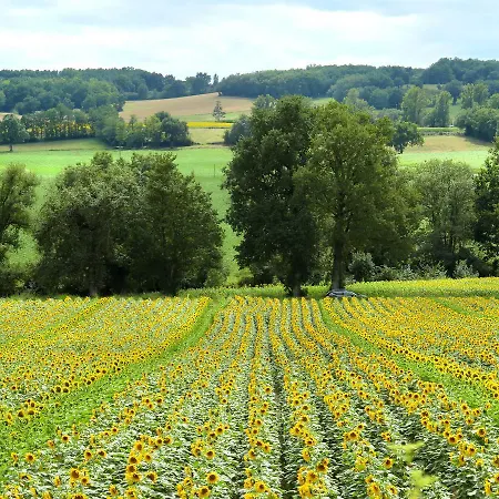 Anlage Mit Pool 101s 아파트 *